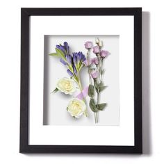 three flowers in a black frame on a white wall, one is purple and the other is pink