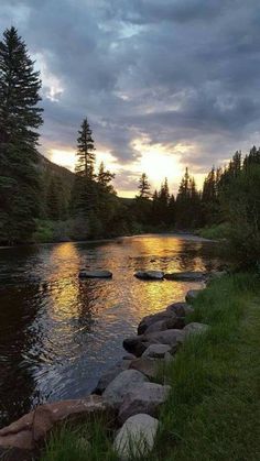 the sun is setting over a river with rocks and grass on both sides, along with pine trees