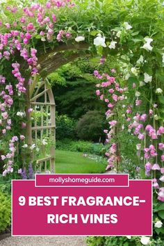 a garden with pink and white flowers in the middle, surrounded by greenery that reads 9 best fragrante - rich vines