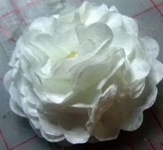 a white flower sitting on top of a piece of paper