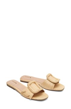 Named for the ever-charming kiwi bird, this slide sandal charms as well with its scallop-edged strap cinched with an oversized statement buckle. Flat sole Leather upper and lining/rubber and synthetic sole Imported Latinx Owned/Founded Kiwi Bird, Kiwi, Birdy, Slide Sandals, Womens Sandals, Leather Upper, Buckle, Nordstrom, Sandals