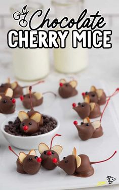 chocolate cherry mice are arranged in the shape of mouses