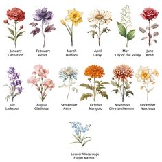 the different types of flowers that are in each flower arrangement, including daisies and carnations