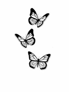 two black and white butterflies on a white background