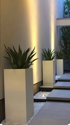 some white planters with plants in them on the side of a building at night