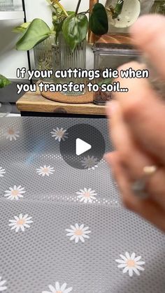 someone is cutting up some flowers on a table with the words if your cuttings die when you transfer to soil