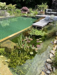 an outdoor pool with water lilies in the middle and a bench on the other side