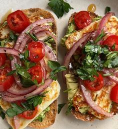 two open faced sandwiches with tomatoes, onions and cheese