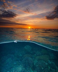 the sun is setting over some corals in the ocean