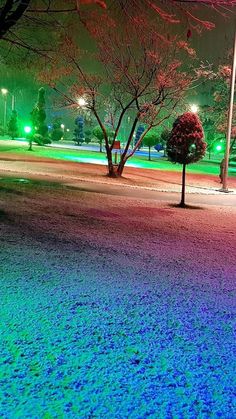 an empty park at night with trees and grass covered in blue, green, and pink light