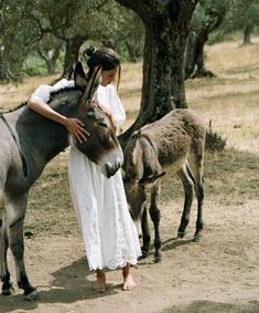 a woman in white dress standing next to two donkeys on dirt ground near trees