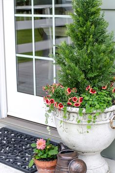 a potted plant sitting on top of a table next to two pots filled with flowers