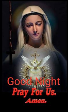 an image of the virgin mary with words good night pray for us, amen