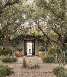 an outdoor fountain surrounded by trees and plants in front of a small building with tiled flooring