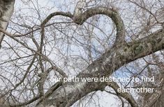 a heart shaped tree with the words our path were destroyed to find each other