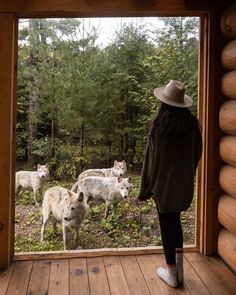 a woman standing in front of a window looking at some animals