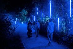 Resort Design Plan, Enchanted Night, Electronic Music Festival, Lost River, Night Walk, Dubai Luxury, Urban Lighting, Resort Design