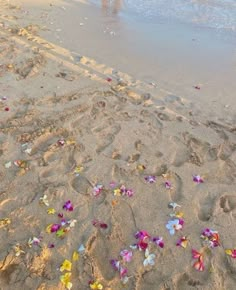 the beach is littered with colorful flowers and petals on it's sand, as people walk in the distance