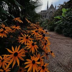 an image of flowers in front of a building that looks like it is going to fall