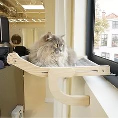 a cat is sitting in a window sill