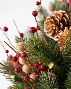 pine cones and red berries are on the tree