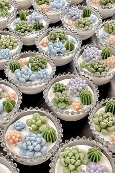 there are many small plates with succulents on them