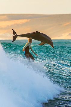 a man riding a wave on top of a surfboard under a large shark fin