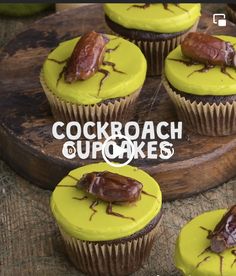 some cupcakes with chocolate bugs on them