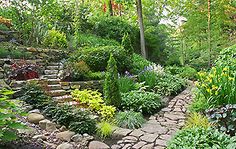 a stone path in the middle of a garden with lots of flowers and greenery