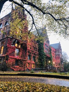 an old building with ivy growing on it's sides and trees in the foreground