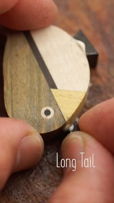 a close up of a person holding a piece of wood with the word long tail on it