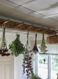 herbs hanging from the ceiling in a kitchen