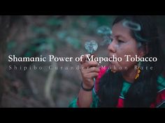 Shamanic Power of Mapacho Tobacco Rum Shots, Grandmother Willow, Medicinal Plants, Herbal Medicine, Ritual, Medicine, The World, Plants