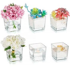 four square vases with flowers in them on a white background, each containing different types of flowers