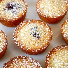 several sugary muffins with powdered sugar on top are arranged in a circle