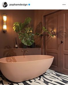 a bathroom with a large bathtub and a plant in the corner next to it