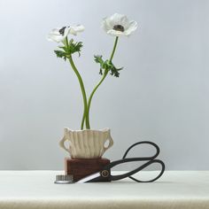 a pair of scissors sitting next to a vase with flowers in it