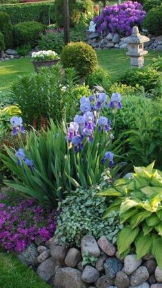 a garden filled with lots of purple flowers