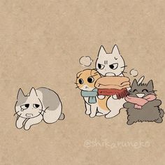 three cats and one cat holding a donut