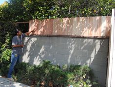 a man that is standing next to a wall with some plants on top of it