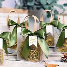 small clear gift bags with green bows on them and pine cones in the back ground