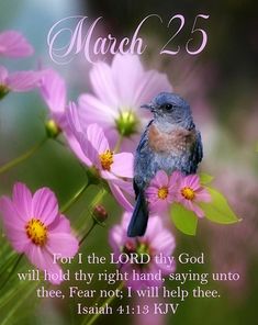 a blue bird sitting on top of pink flowers with the words march 23 written below it