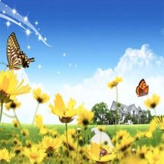 two butterflies flying over yellow flowers in front of a house and blue sky with white clouds