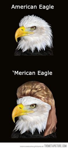 an eagle with two different bald eagles on it's head and the caption american eagle