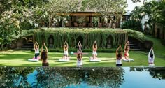 a group of women doing yoga in front of a swimming pool with greenery on the side