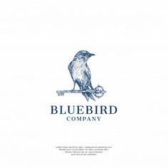 Logo Design Ideas Bird Branding, Blue Bird Logo, Bird Logo Inspiration, Nature Logos, Blue Branding, Logo Bird, Birds Logo, Bird Logo Design, Vintage Logos