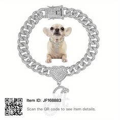 a small dog wearing a silver necklace with diamonds on it's collar and chain