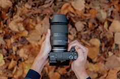 a person holding up a camera in front of leaves