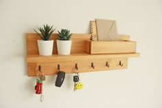 a wooden shelf with key hooks and two plants on it, hanging from the wall