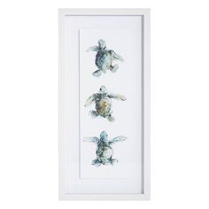 three sea turtles framed in white frame